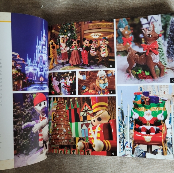 100 Disney Adventures of a Lifetime: Magical Experiences From Around the World - Picture 3 of 6